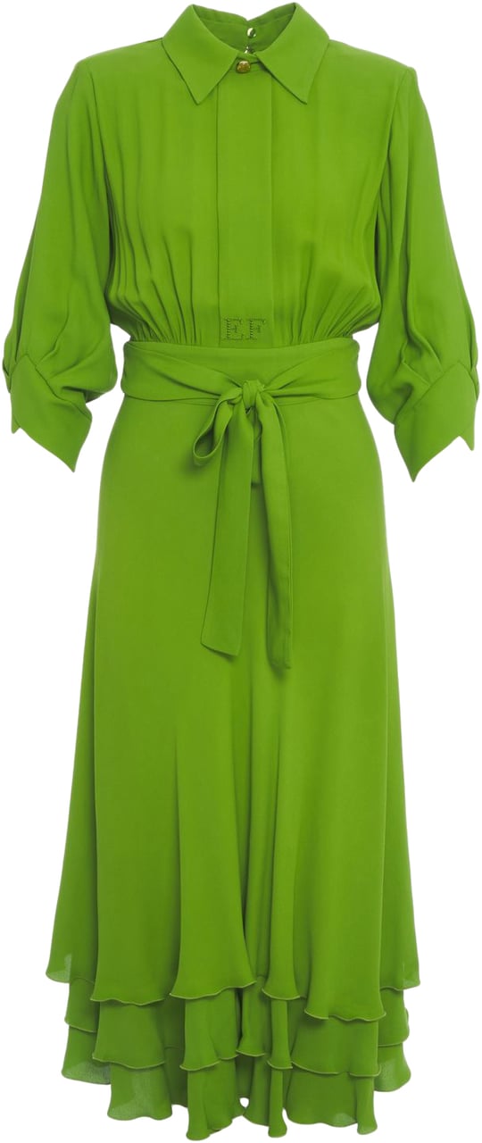 Elisabetta Franchi Maxi dress with ruffle details Groen