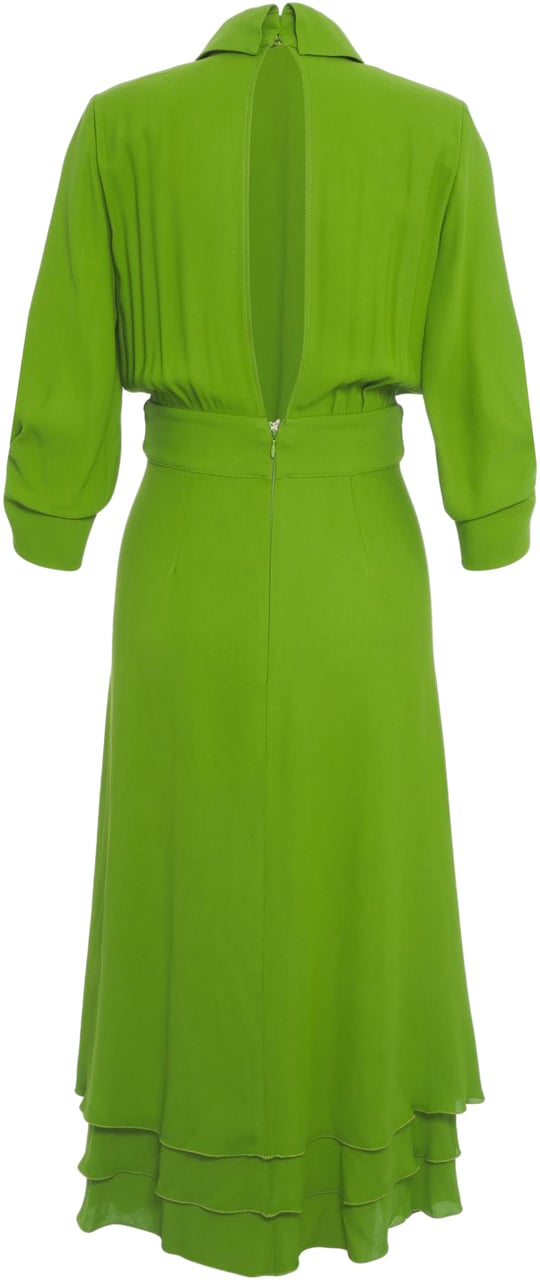 Elisabetta Franchi Maxi dress with ruffle details Groen
