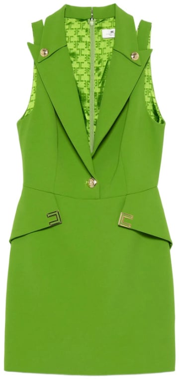 Elisabetta Franchi Dresses Aloe Groen