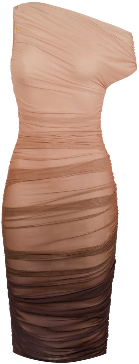 Elisabetta Franchi Dresses Brown Bruin