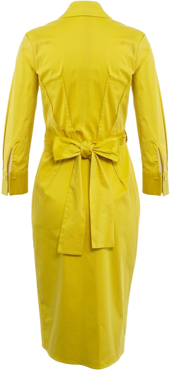 Elisabetta Franchi Cotton midi dress Geel