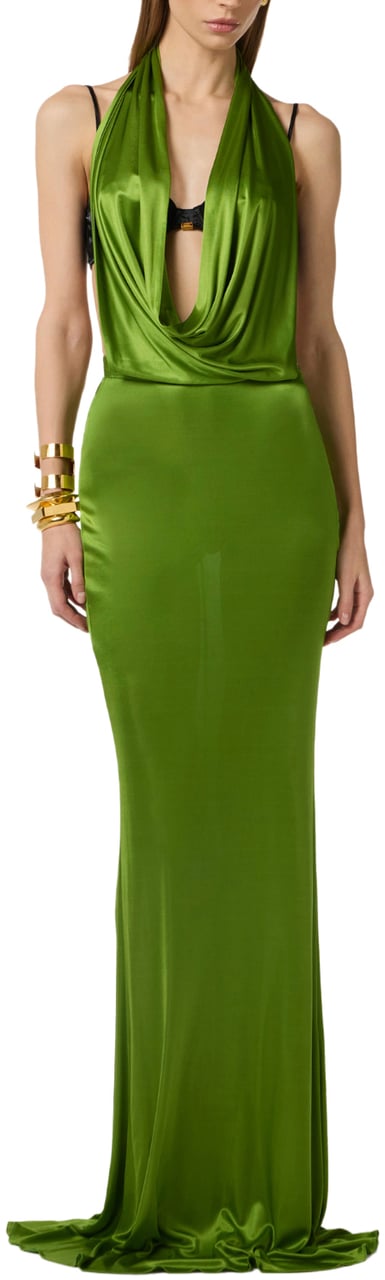 Elisabetta Franchi Dresses Aloenero Groen