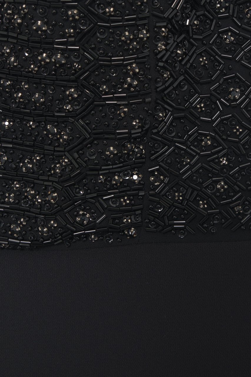 Elisabetta Franchi Maxi dress with sequins Zwart