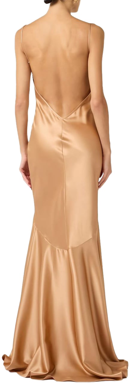 Elisabetta Franchi Dresses Golden Goud