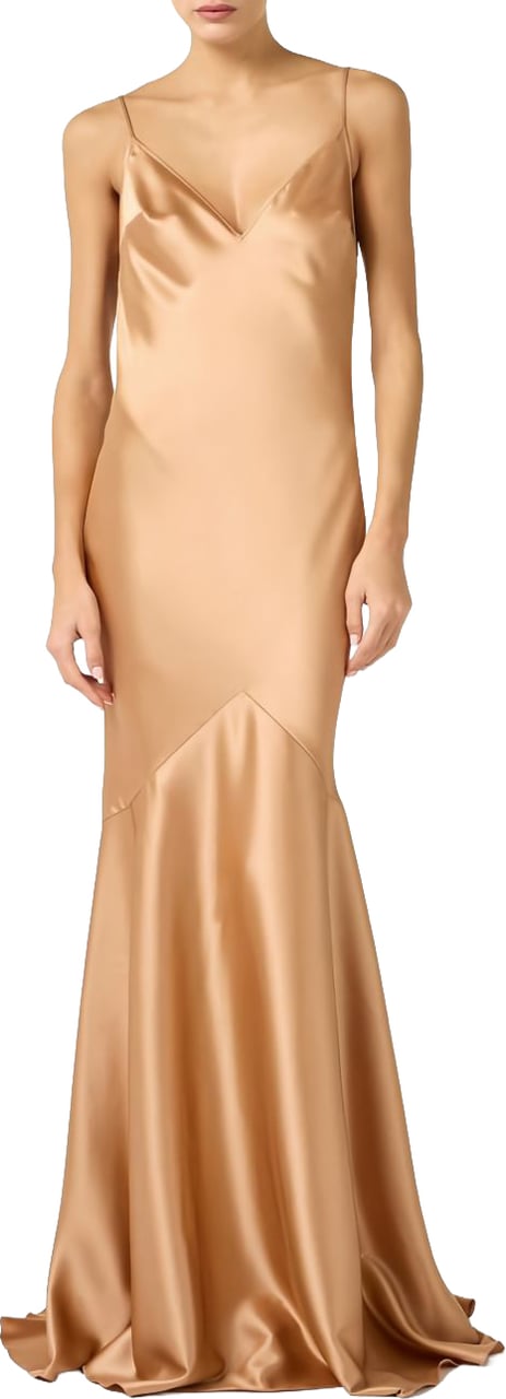 Elisabetta Franchi Dresses Golden Goud