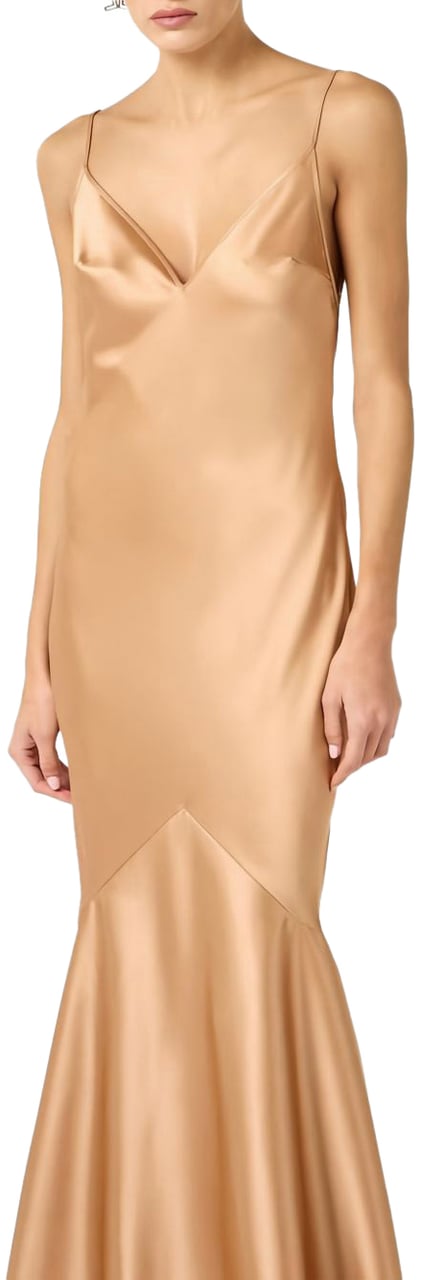 Elisabetta Franchi Dresses Golden Goud