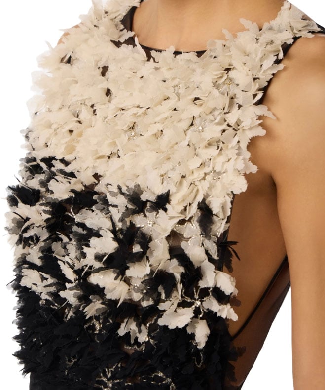 Elisabetta Franchi Dresses Nero/Burro Zwart