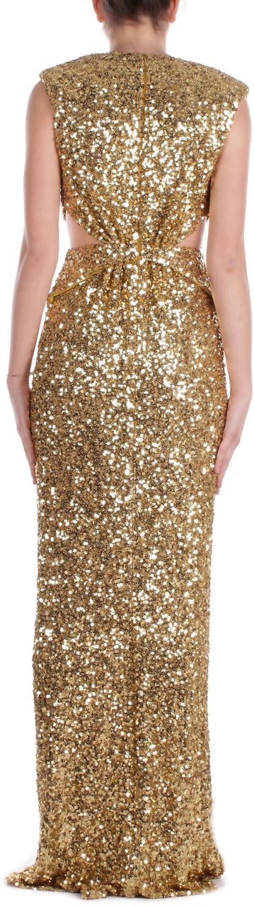 Elisabetta Franchi Dresses Curry Goud