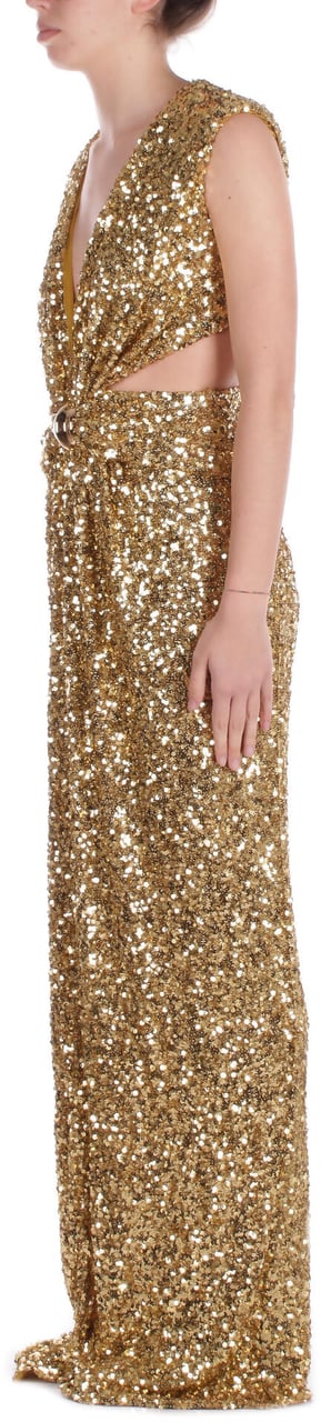 Elisabetta Franchi Dresses Curry Geel
