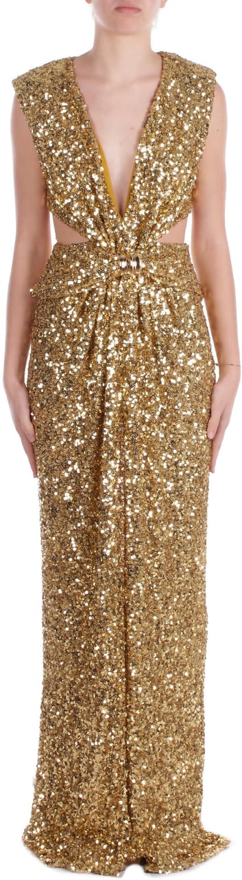 Elisabetta Franchi Dresses Curry Geel