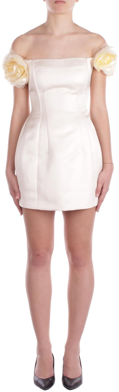 Elisabetta Franchi Dresses Burro Beige