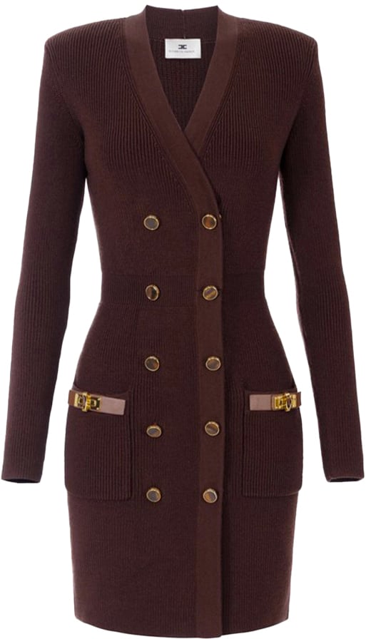 Elisabetta Franchi Dresses Brown Bruin