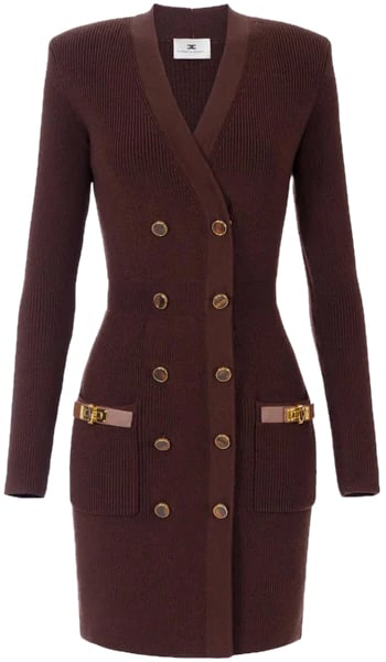 Elisabetta Franchi Dresses Caffe Bruin