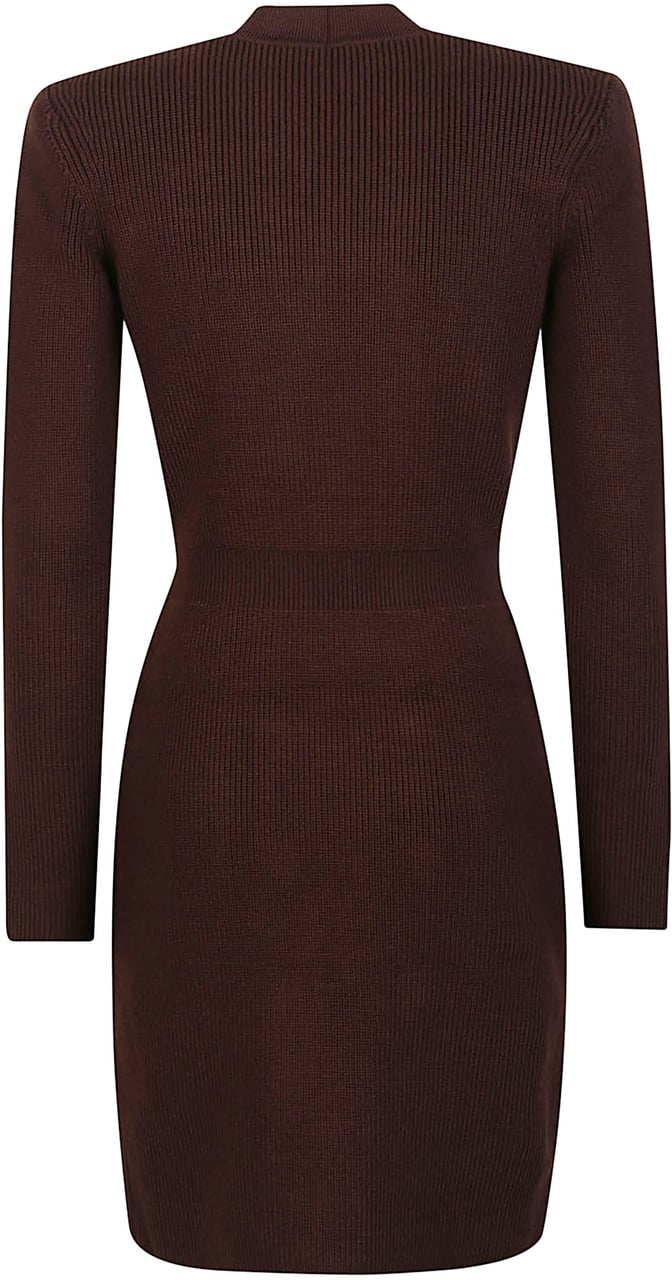 Elisabetta Franchi Dress Brown Bruin