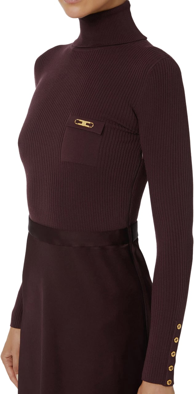 Elisabetta Franchi Dresses Merlot Rood