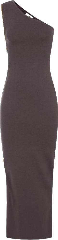 Elisabetta Franchi Dresses Brown Bruin