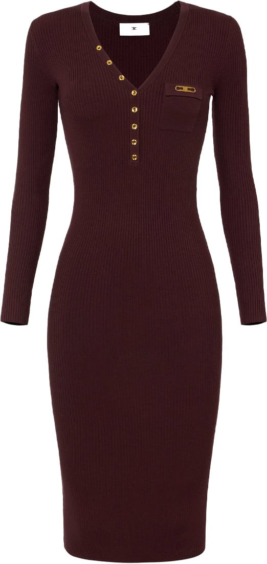 Elisabetta Franchi Dresses Merlot Rood