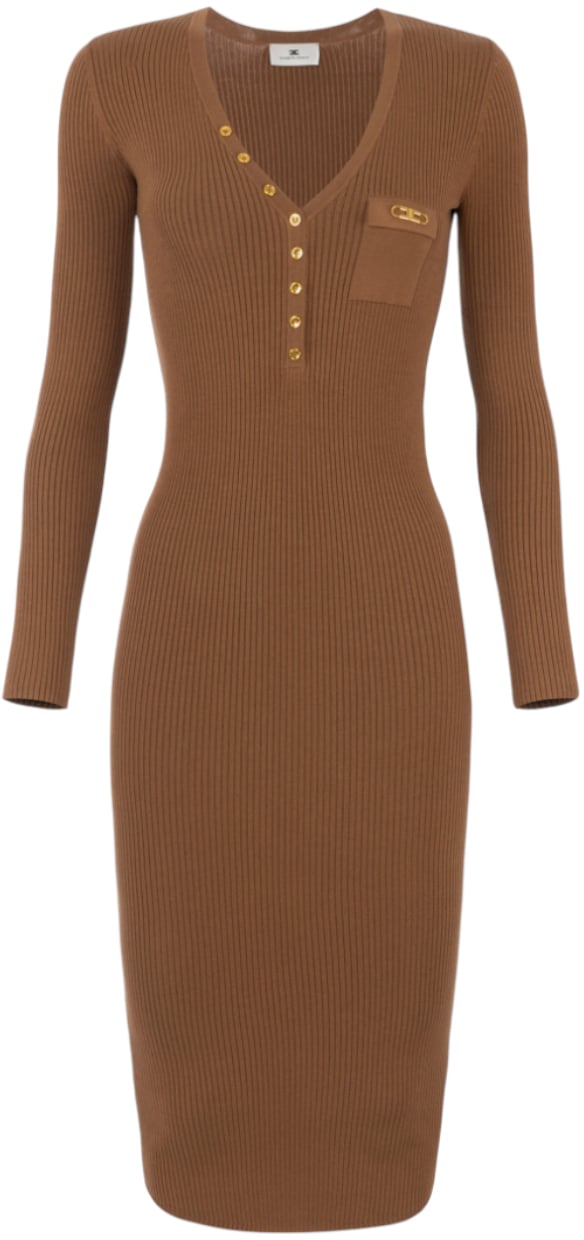 Elisabetta Franchi Dresses Brown Rose Bruin