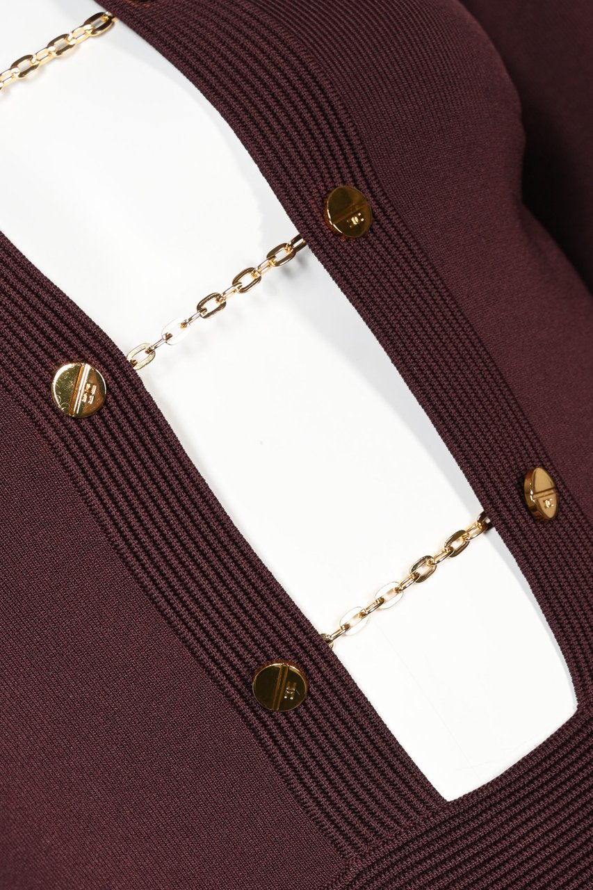 Elisabetta Franchi Dresses Merlot Rood