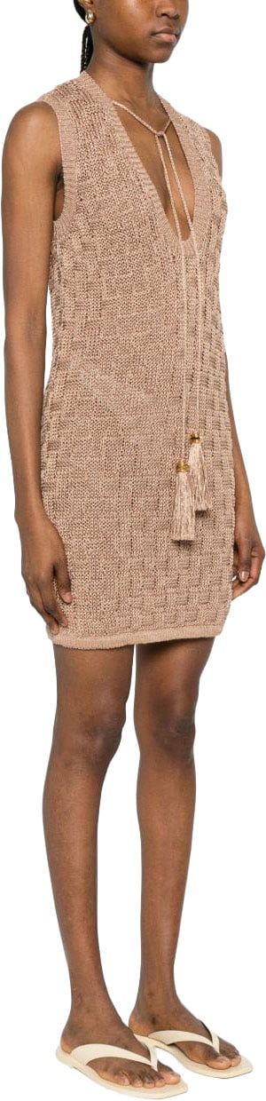 Elisabetta Franchi Dresses Brown Bruin