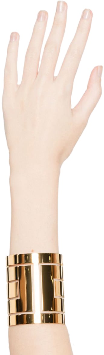 Elisabetta Franchi Bijoux Golden Goud