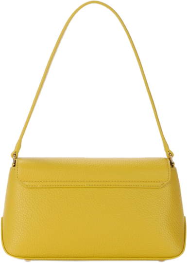 Elisabetta Franchi Bags Yellow Geel