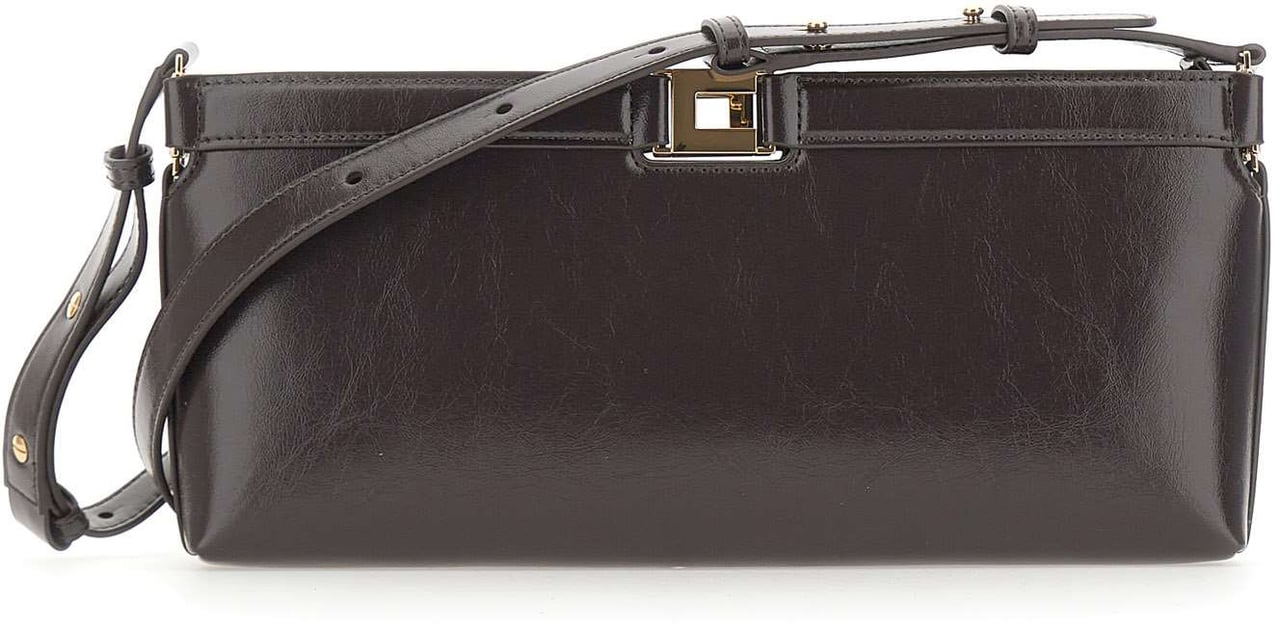 Elisabetta Franchi Bags Brown Bruin