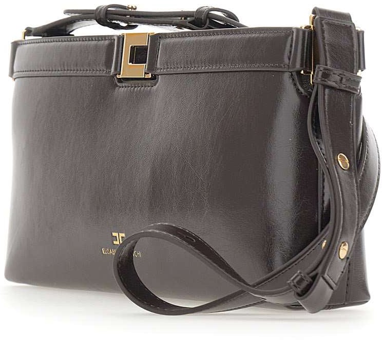 Elisabetta Franchi Bags Brown Bruin