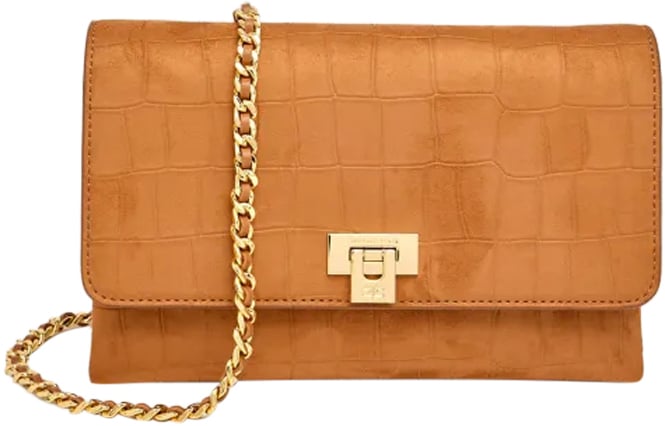 Elisabetta Franchi Bags Leather Brown Bruin