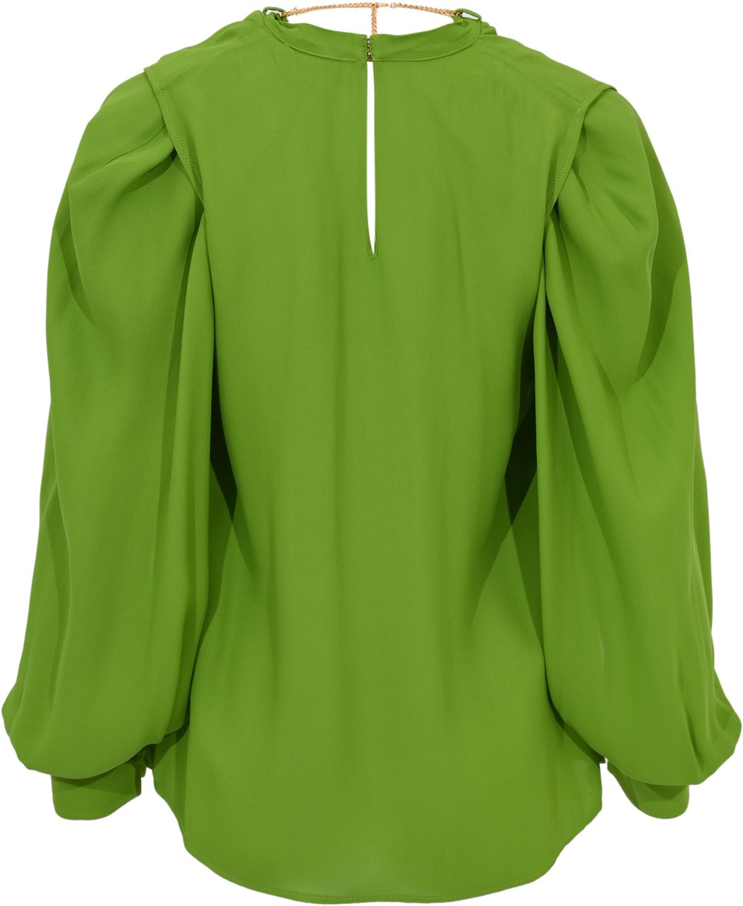 Elisabetta Franchi Shirts Aloe Groen
