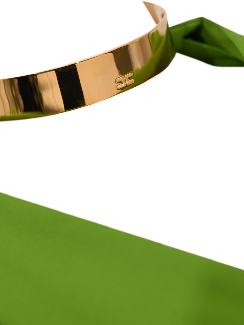 Elisabetta Franchi Shirts Aloe Groen