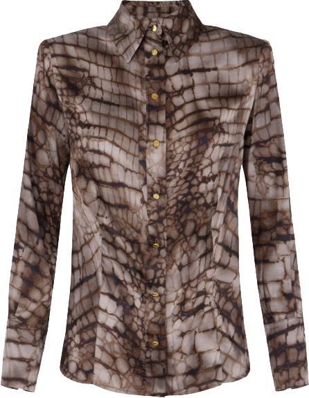 Elisabetta Franchi Shirts Brown Bruin