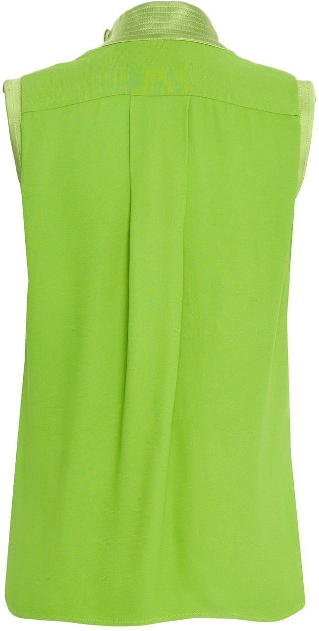 Elisabetta Franchi Top with cowl neck Groen