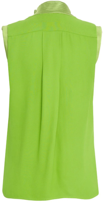 Elisabetta Franchi Top Aloe Groen