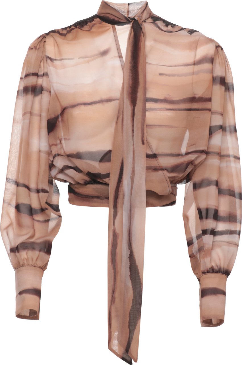 Elisabetta Franchi Shirts Marrone Beige