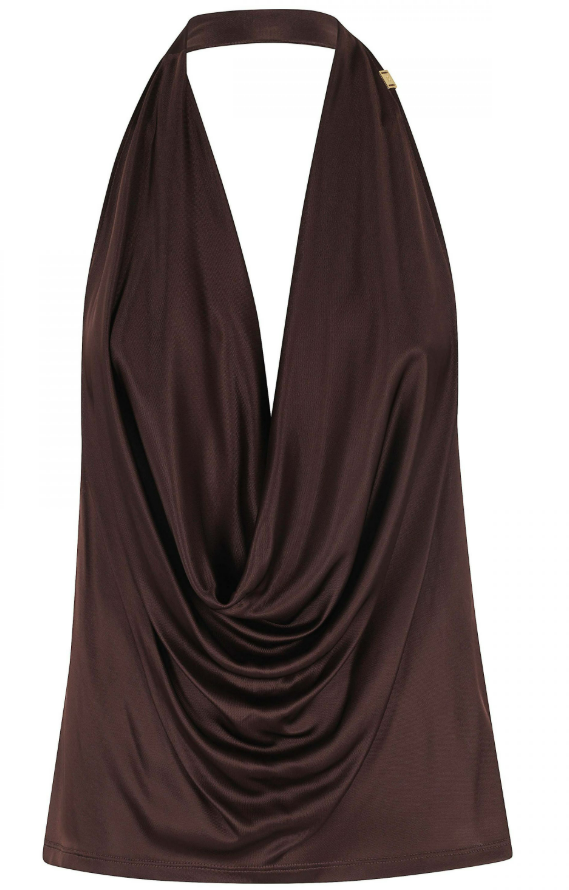Elisabetta Franchi Top Brown Bruin