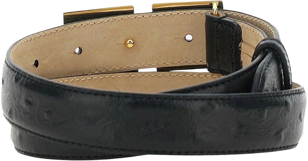 Elisabetta Franchi Belts Black Zwart