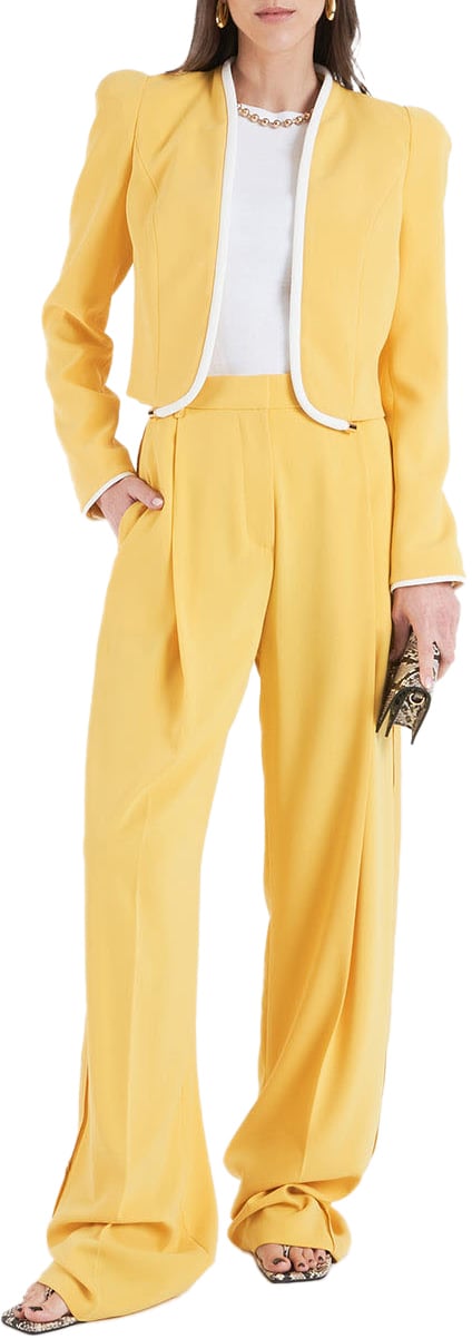 Elisabetta Franchi Blazer with piping Geel