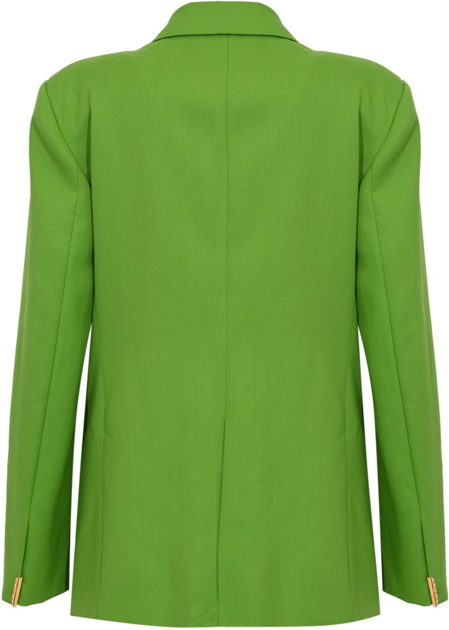 Elisabetta Franchi Jackets Aloe Groen