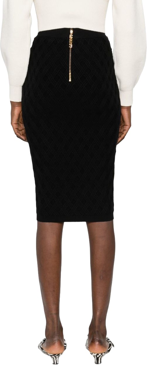 Elisabetta Franchi Skirts Black Zwart