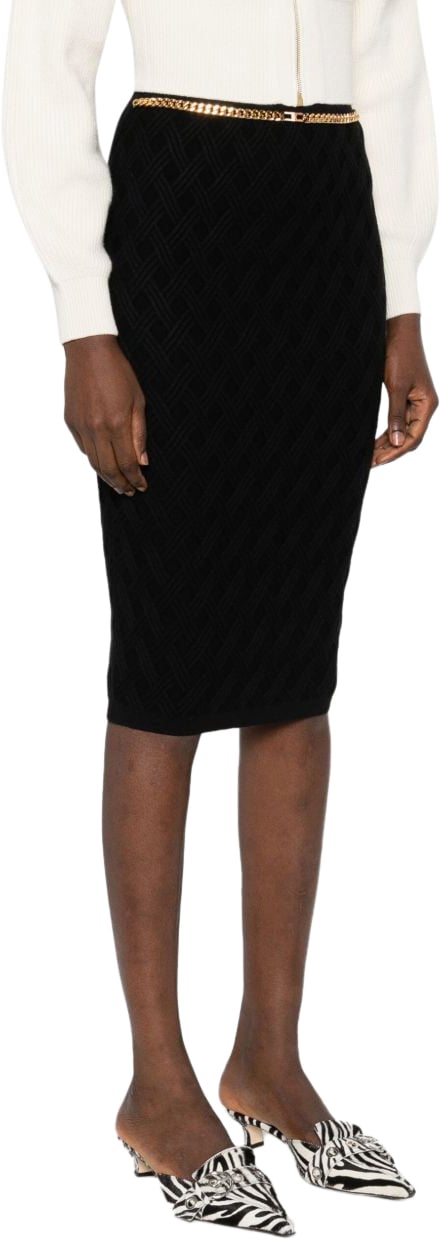 Elisabetta Franchi Skirts Black Zwart
