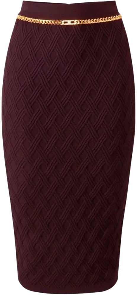 Elisabetta Franchi Skirts Merlot Rood