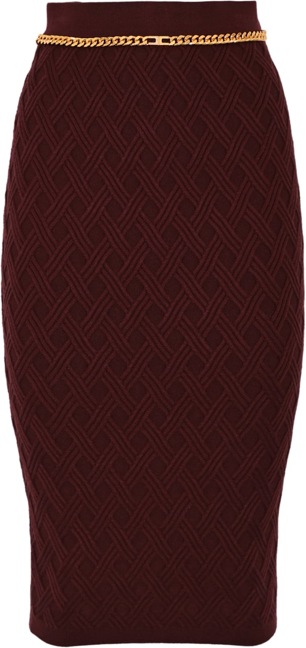 Elisabetta Franchi Skirts Merlot Rood