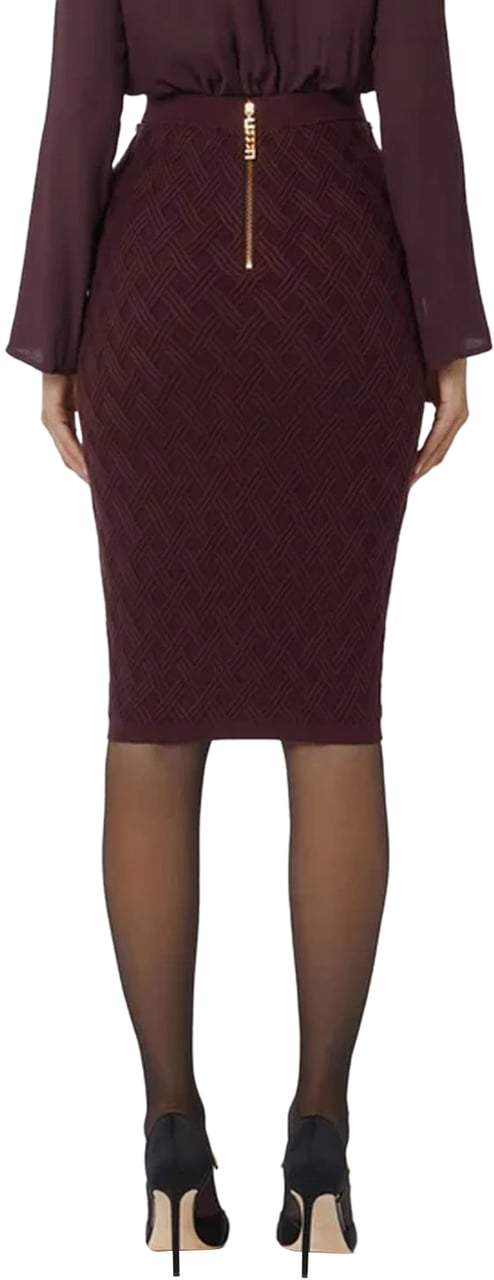 Elisabetta Franchi Skirts Merlot Rood