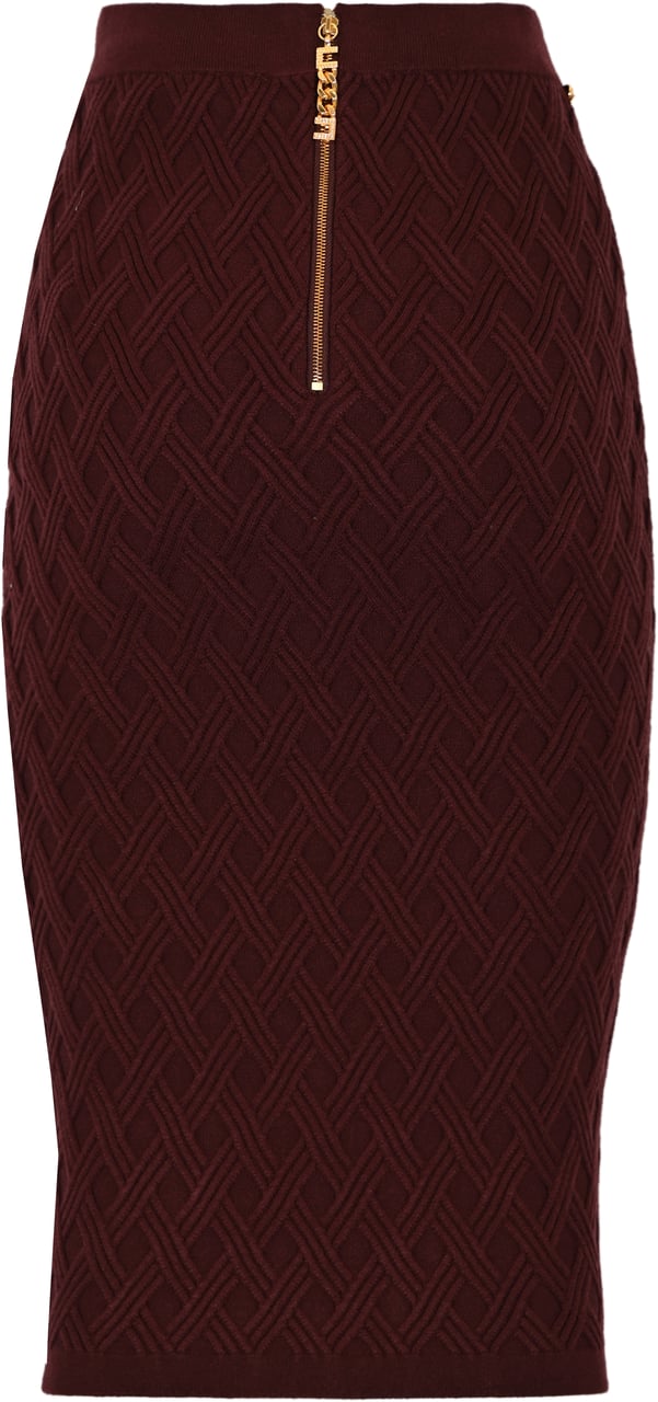 Elisabetta Franchi Skirts Merlot Rood