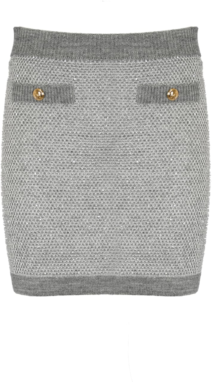 Elisabetta Franchi Skirts Grey Grijs