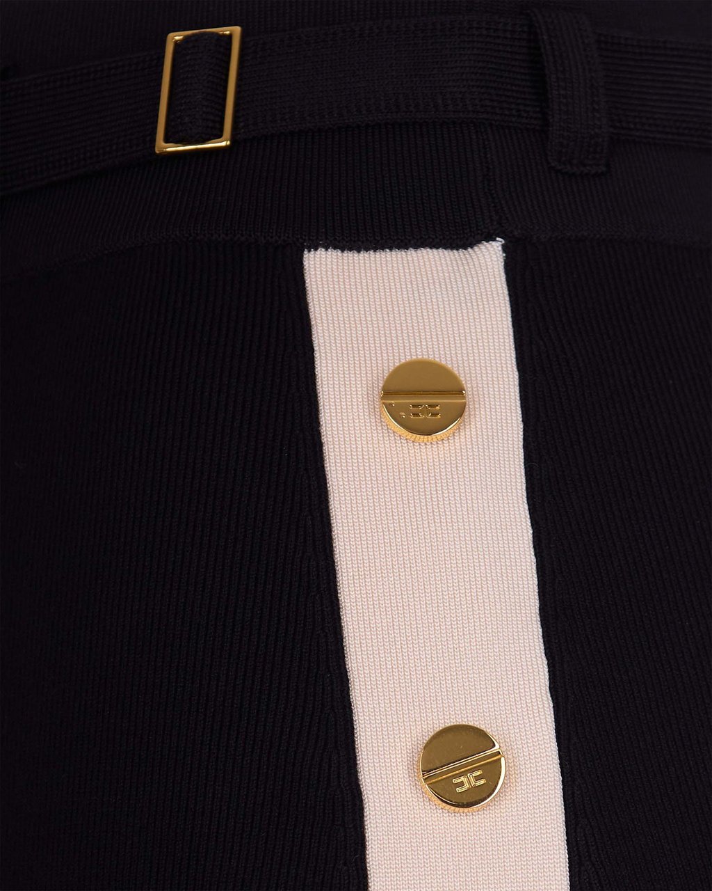 Elisabetta Franchi Skirts Black Zwart