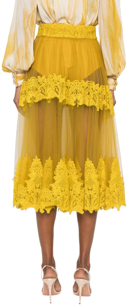 Elisabetta Franchi Elisabetta Franchi Gonne Giallo Geel