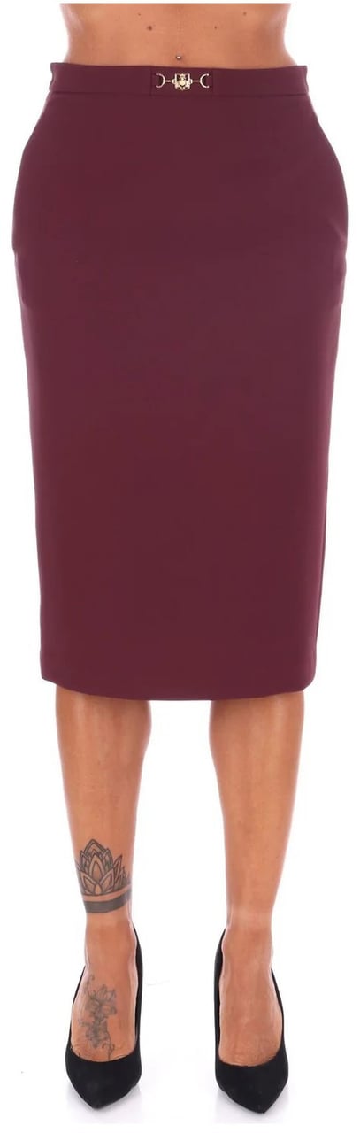 Elisabetta Franchi Skirts Maroon Maroon