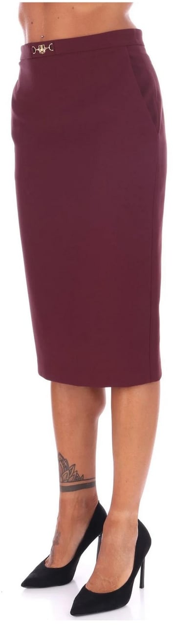Elisabetta Franchi Skirts Maroon Maroon